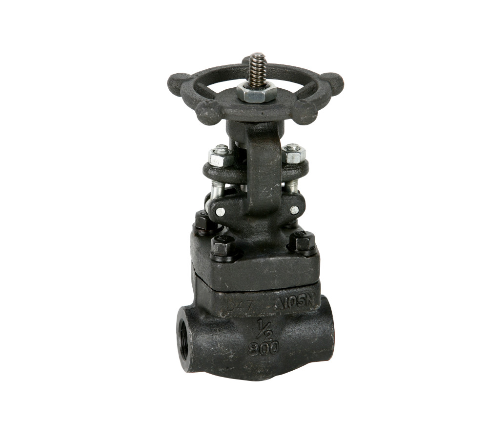 Class 800 Forged High-Pressure Steam Trim