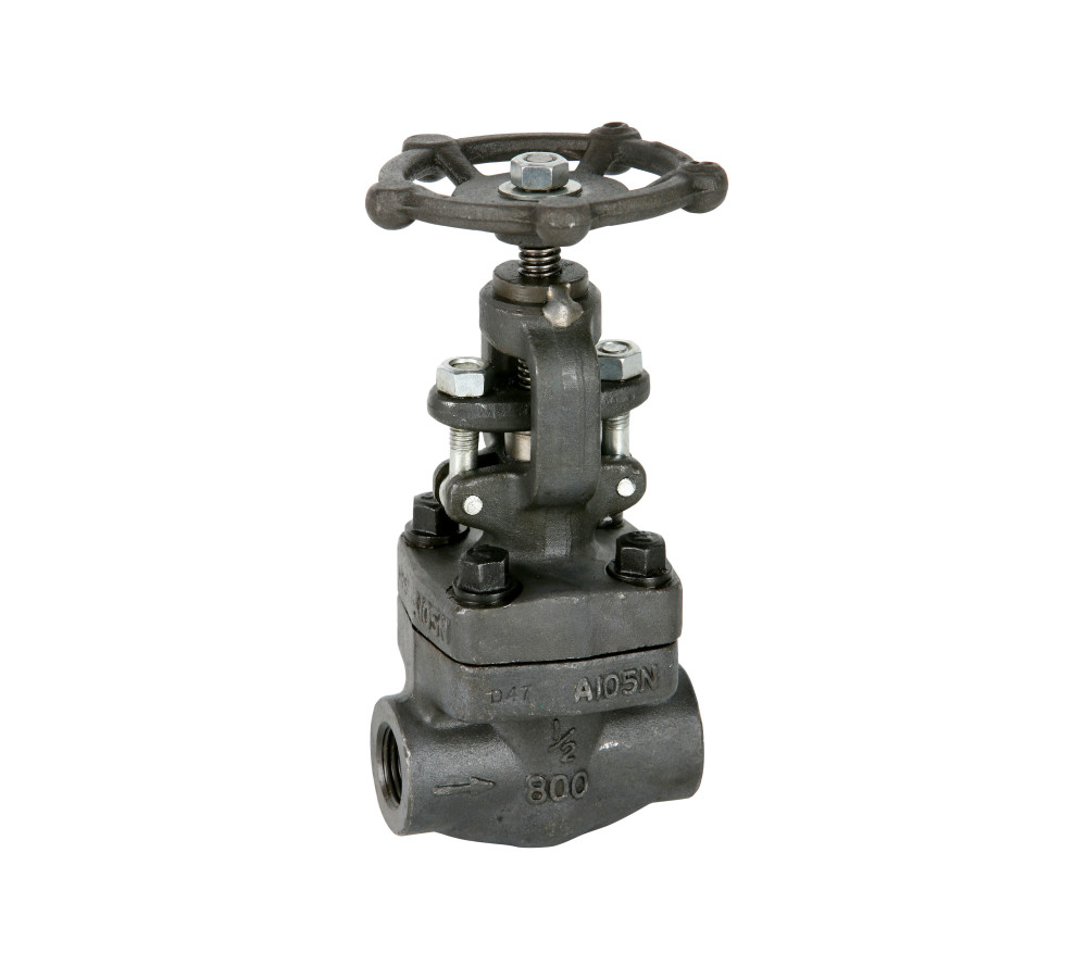 API Forged Globe Valve