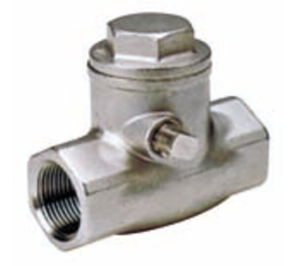 Threaded end Swing Check