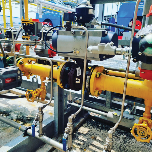 Cogeneration Plant Steam Valves