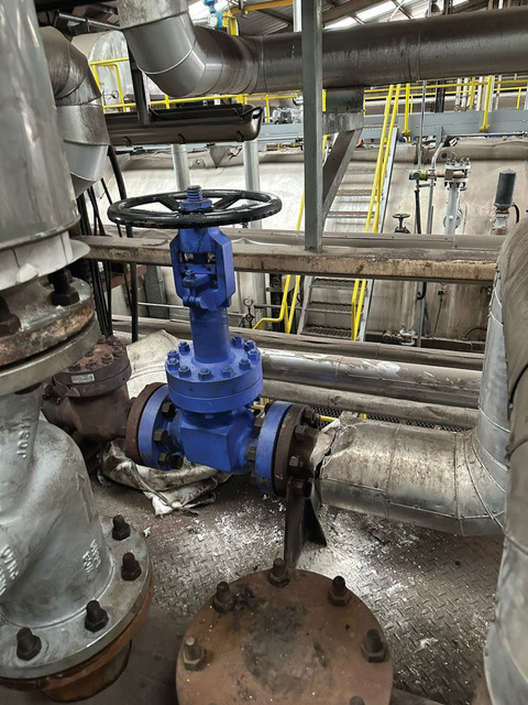 High Pressure Bellow Seal Globe Valve